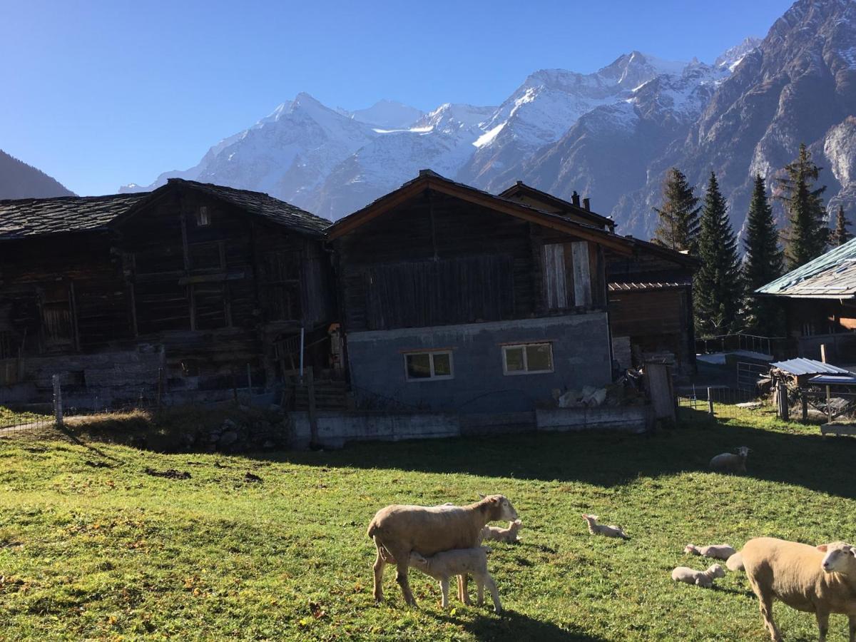 Chalet Safran Grachen Bagian luar foto