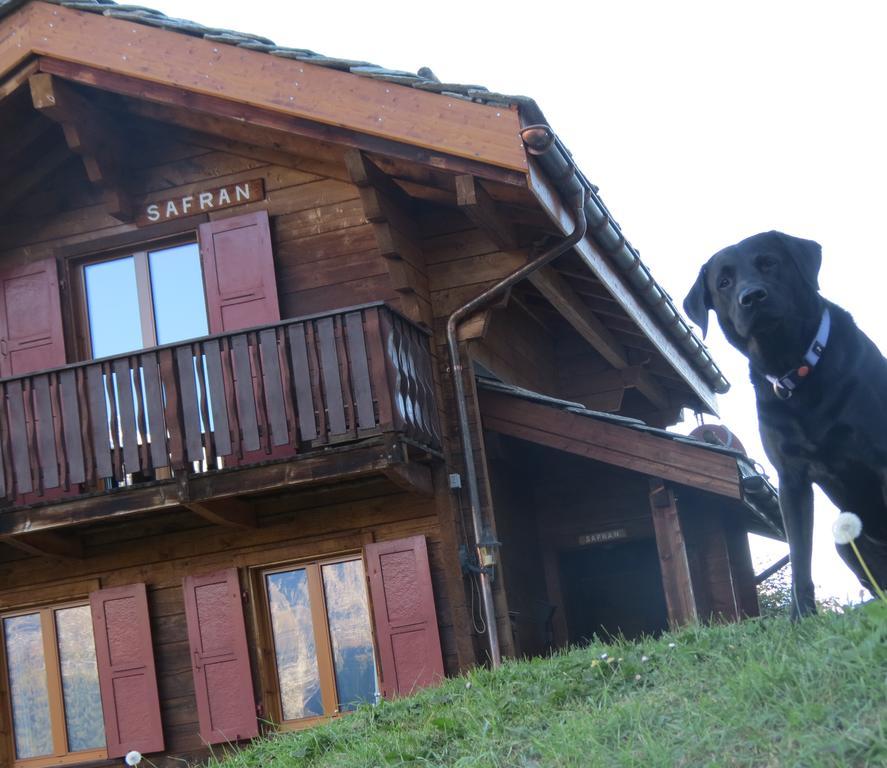 Chalet Safran Grachen Bagian luar foto