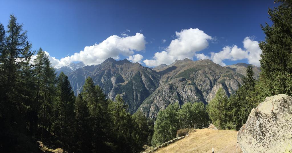 Chalet Safran Grachen Bagian luar foto