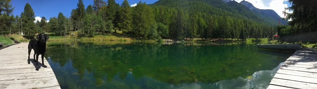 Chalet Safran Grachen Bagian luar foto
